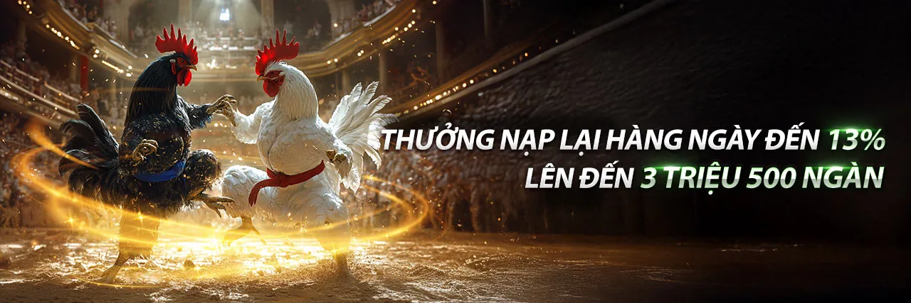 Đá gà trực tuyến Bubet Link Vào 2026